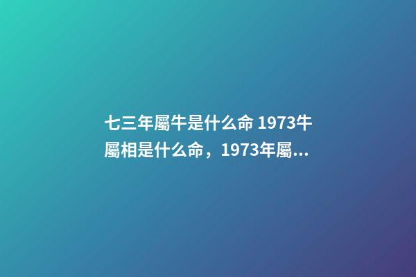 七三年屬牛是什么命 1973牛屬相是什么命，1973年屬牛是什么命運(yùn)-第1張-觀點(diǎn)-玄機(jī)派